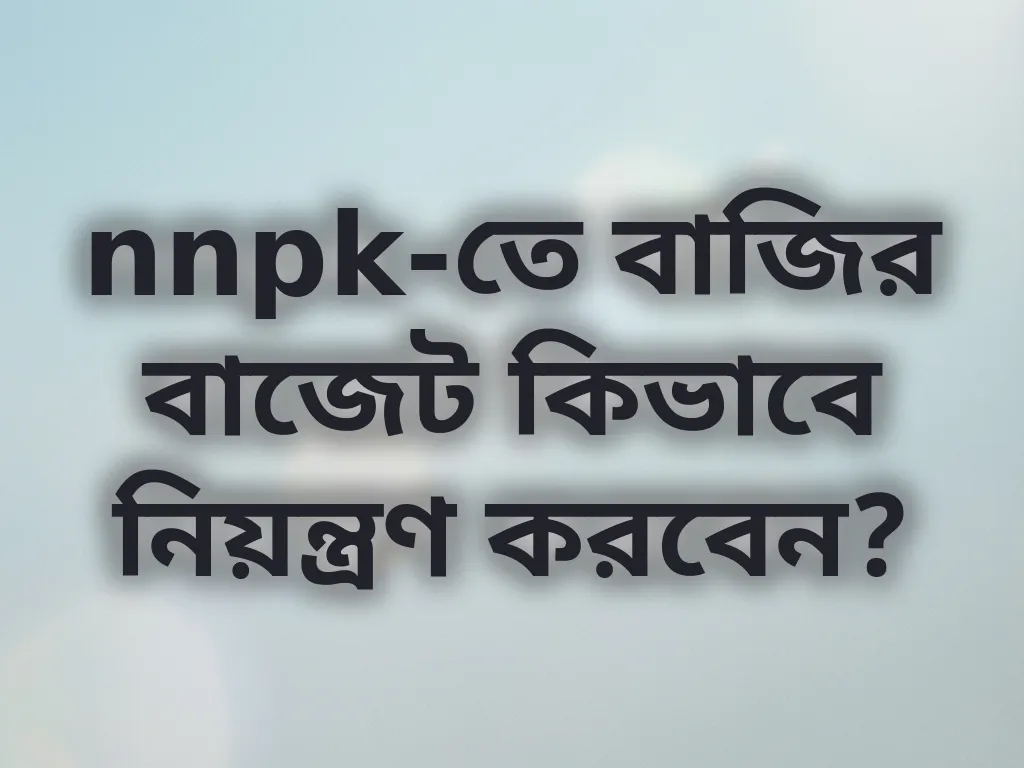 বাজেট ম্যানেজমেন্ট